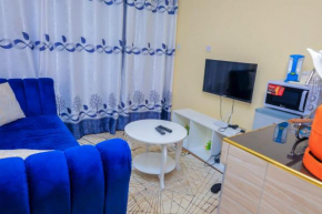 Sunlit Furnished Studio, Kisii